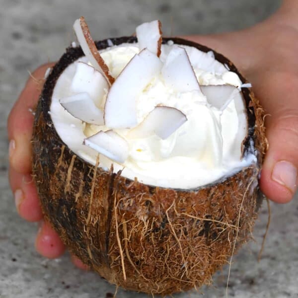 A coconut cup with coconut frappe and coconut flakes