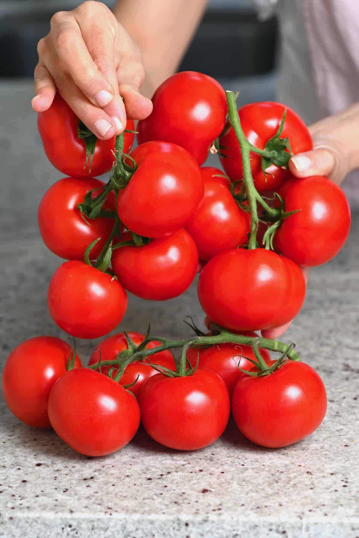 A bunch of red tomatoes