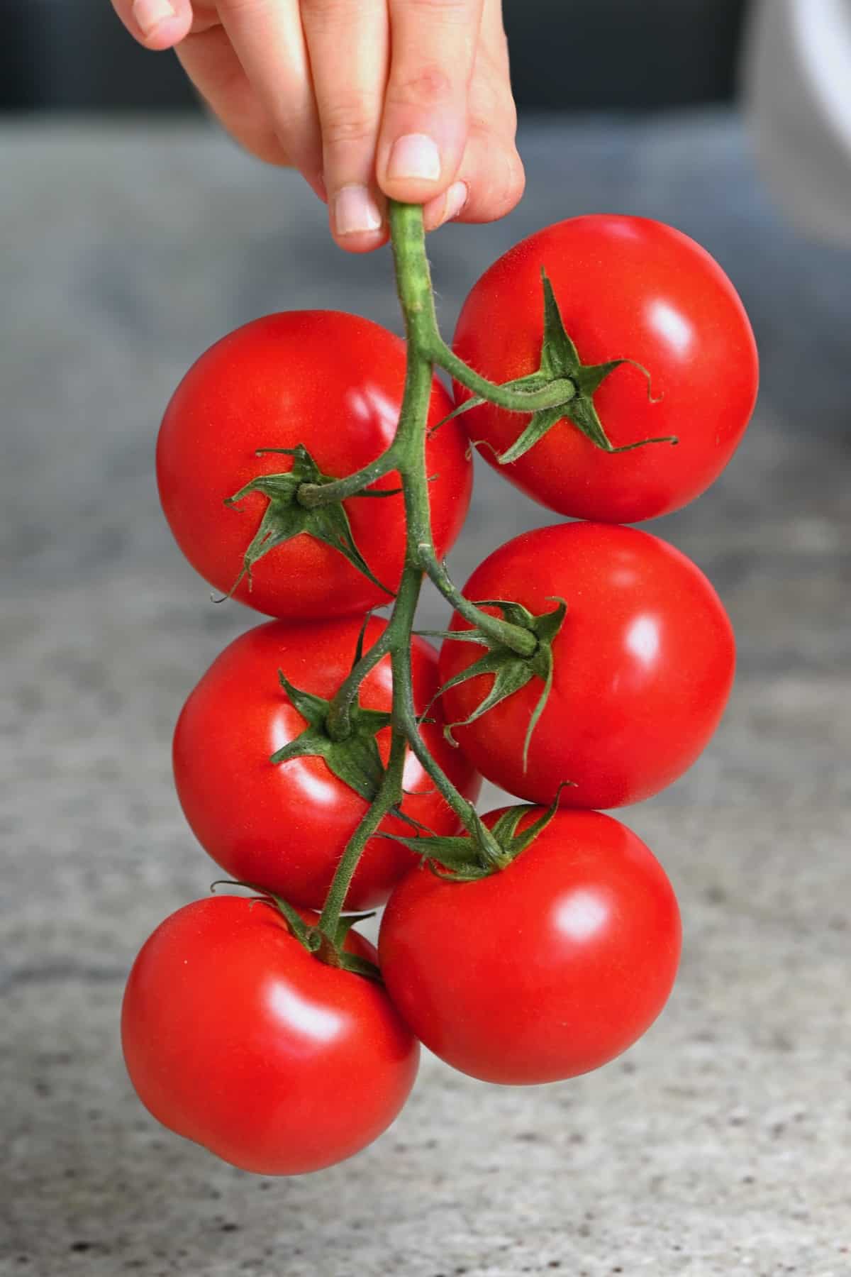 Red tomatoes on a vine