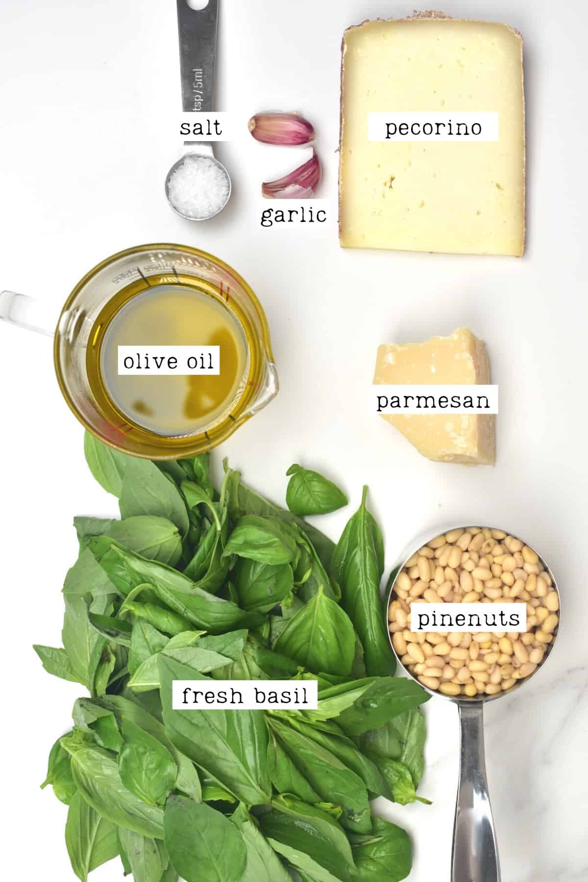 Ingredients for basil pesto