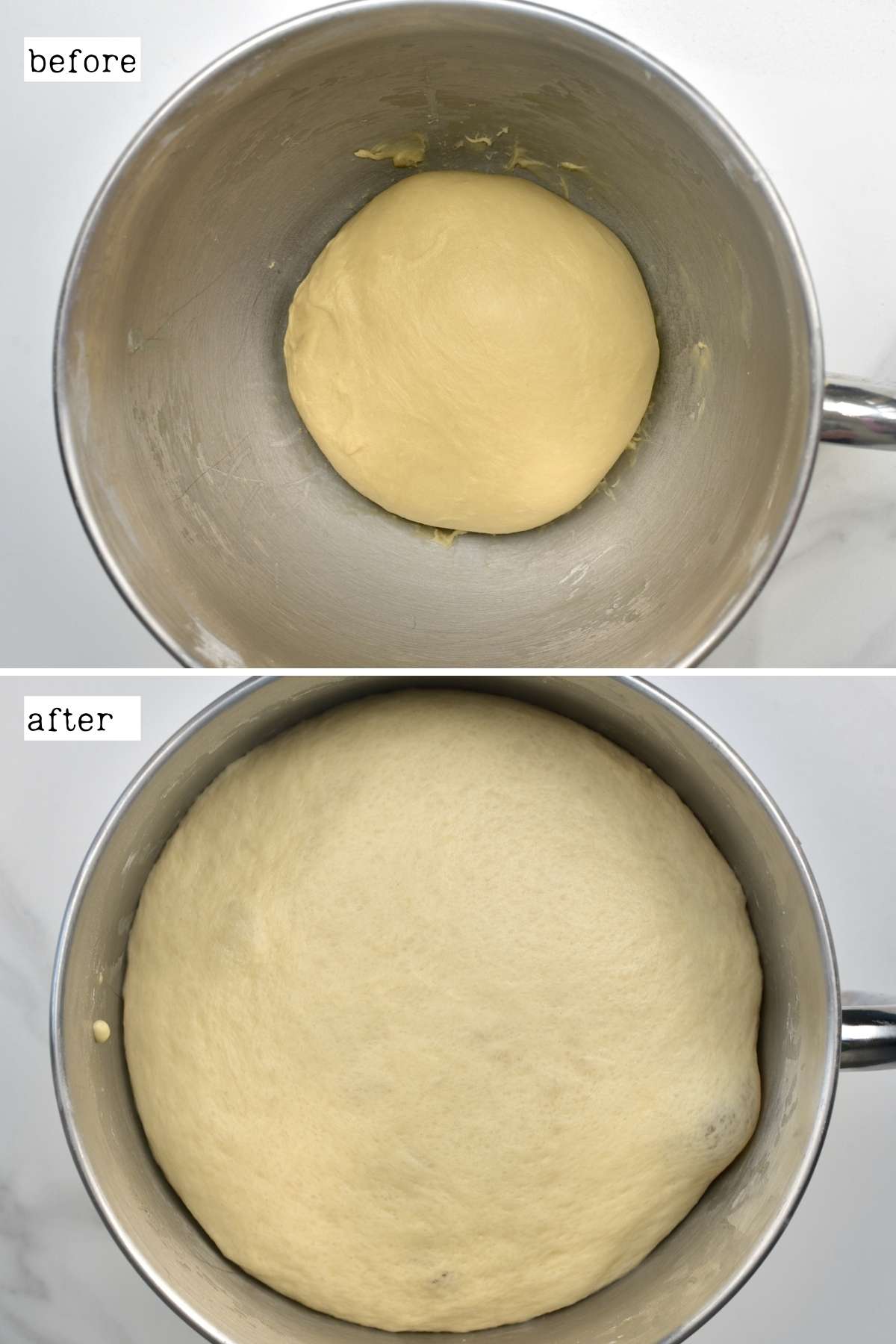 Before and after rising brioche dough