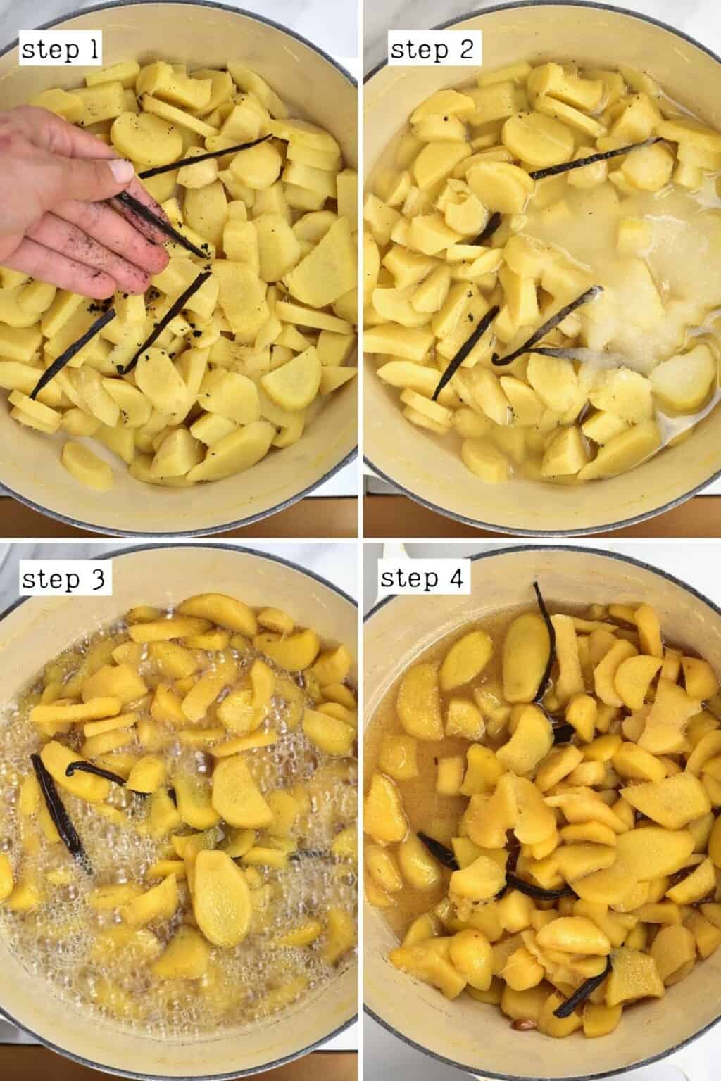 How to Make Crystallized Ginger (Candied Ginger) Alphafoodie