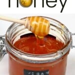 A spoonful of vegan dandelion honey