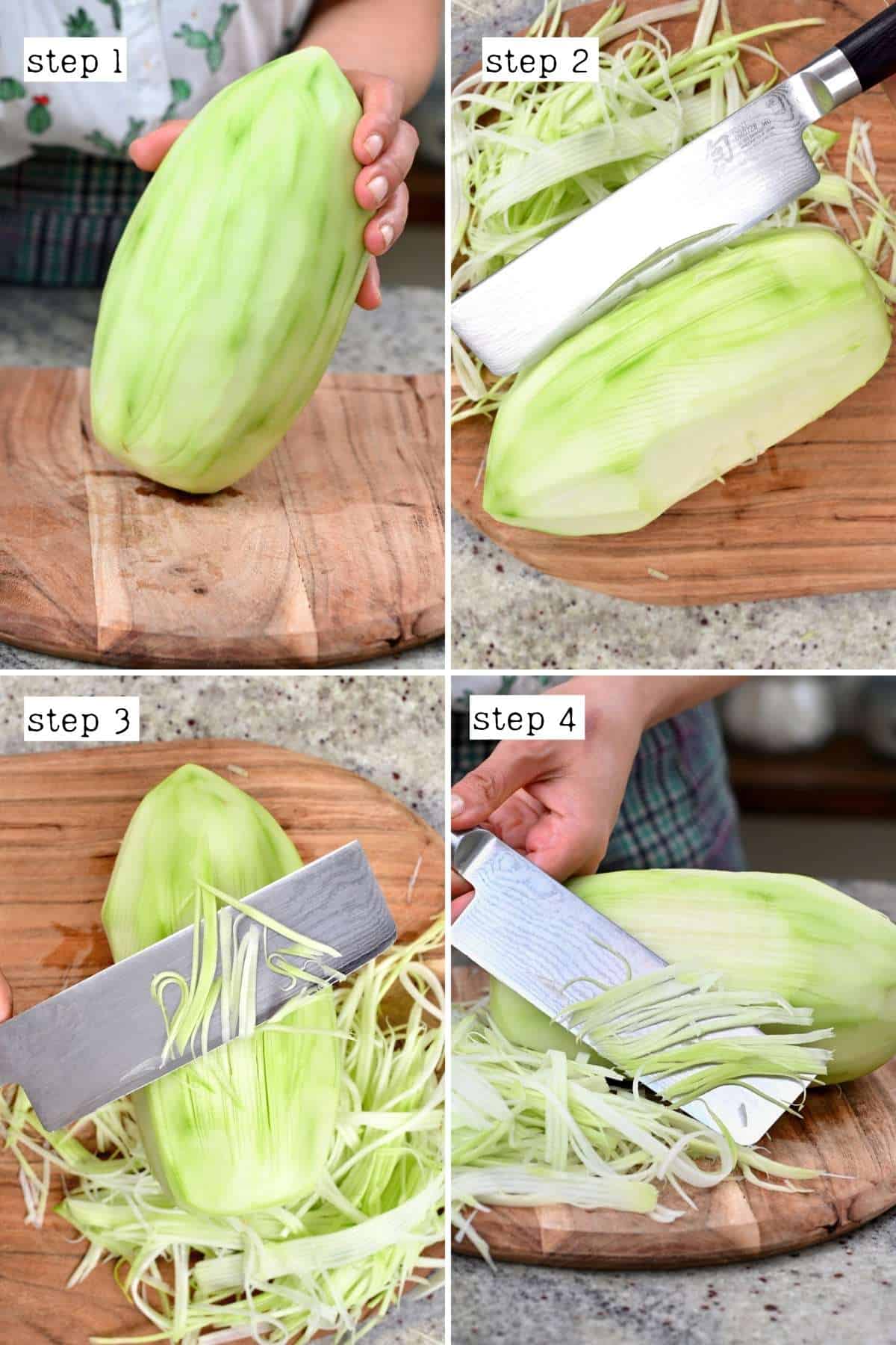 https://www.alphafoodie.com/wp-content/uploads/2021/06/Green-Papaya-Salad-Alternative-way-to-shred-a-papaya.jpg