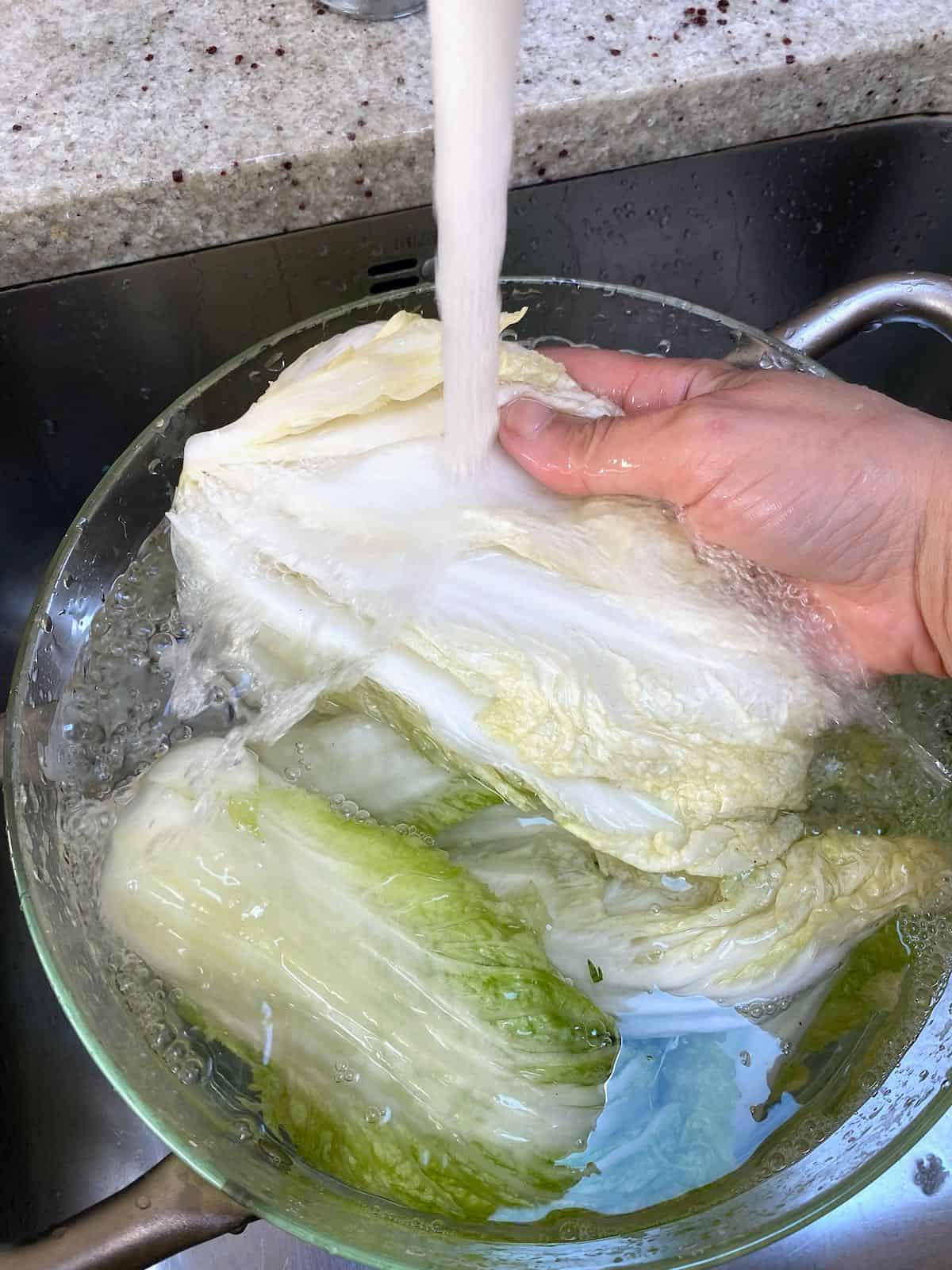 Rinsing cabbage under water