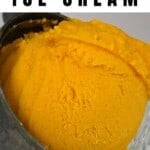 A scoop of mango ice cream