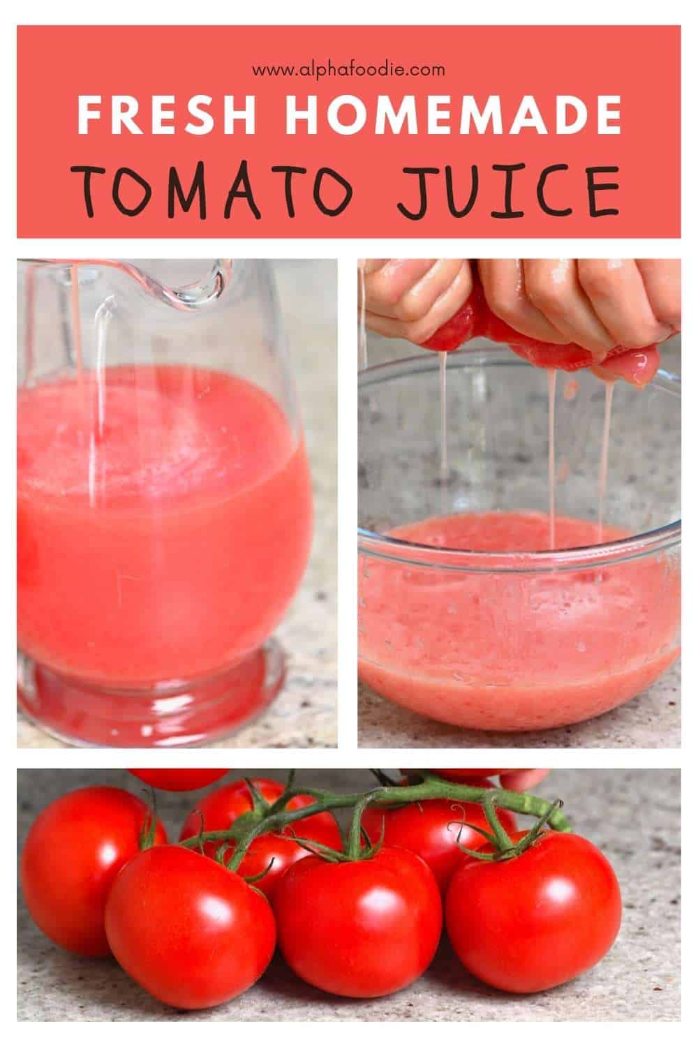 How to Make Tomato Juice (3 Methods) Alphafoodie