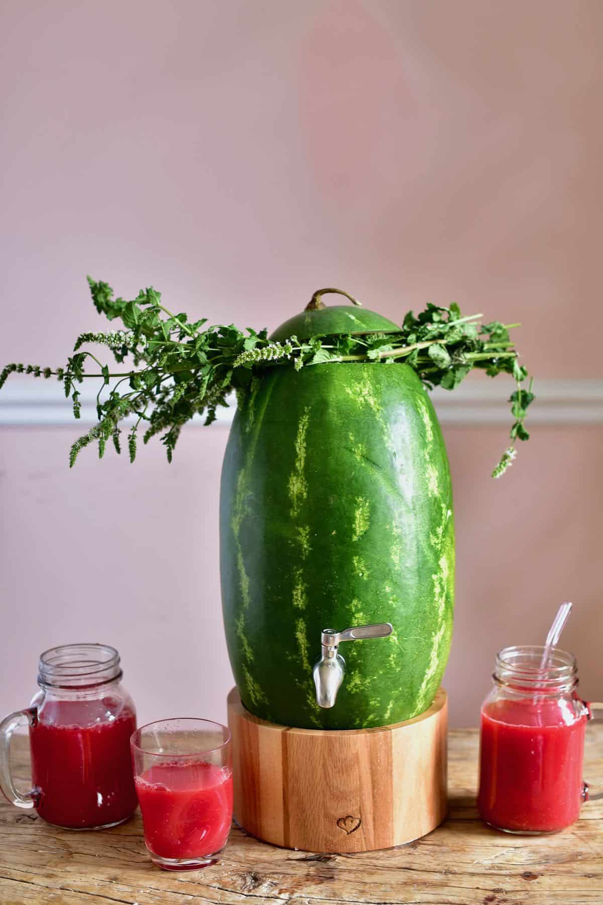 Watermelon juice in glasses and watermelon keg