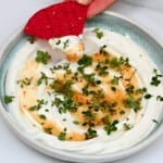 Whipped cheese topped with chili honey and thyme - 16