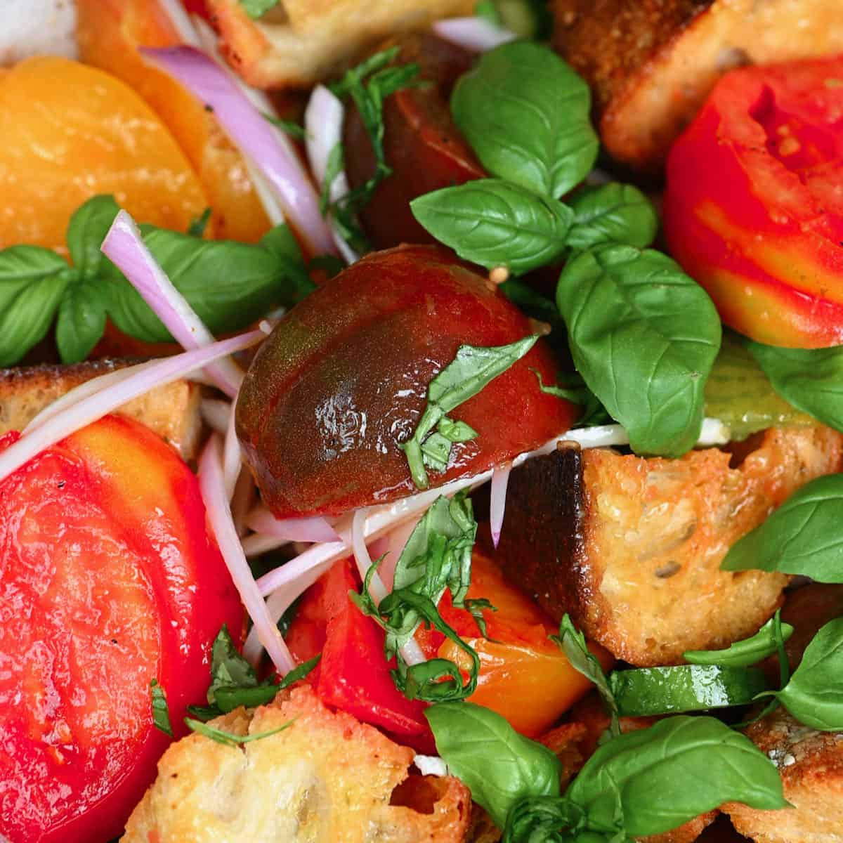 Panzanella salad topped with basil leaves