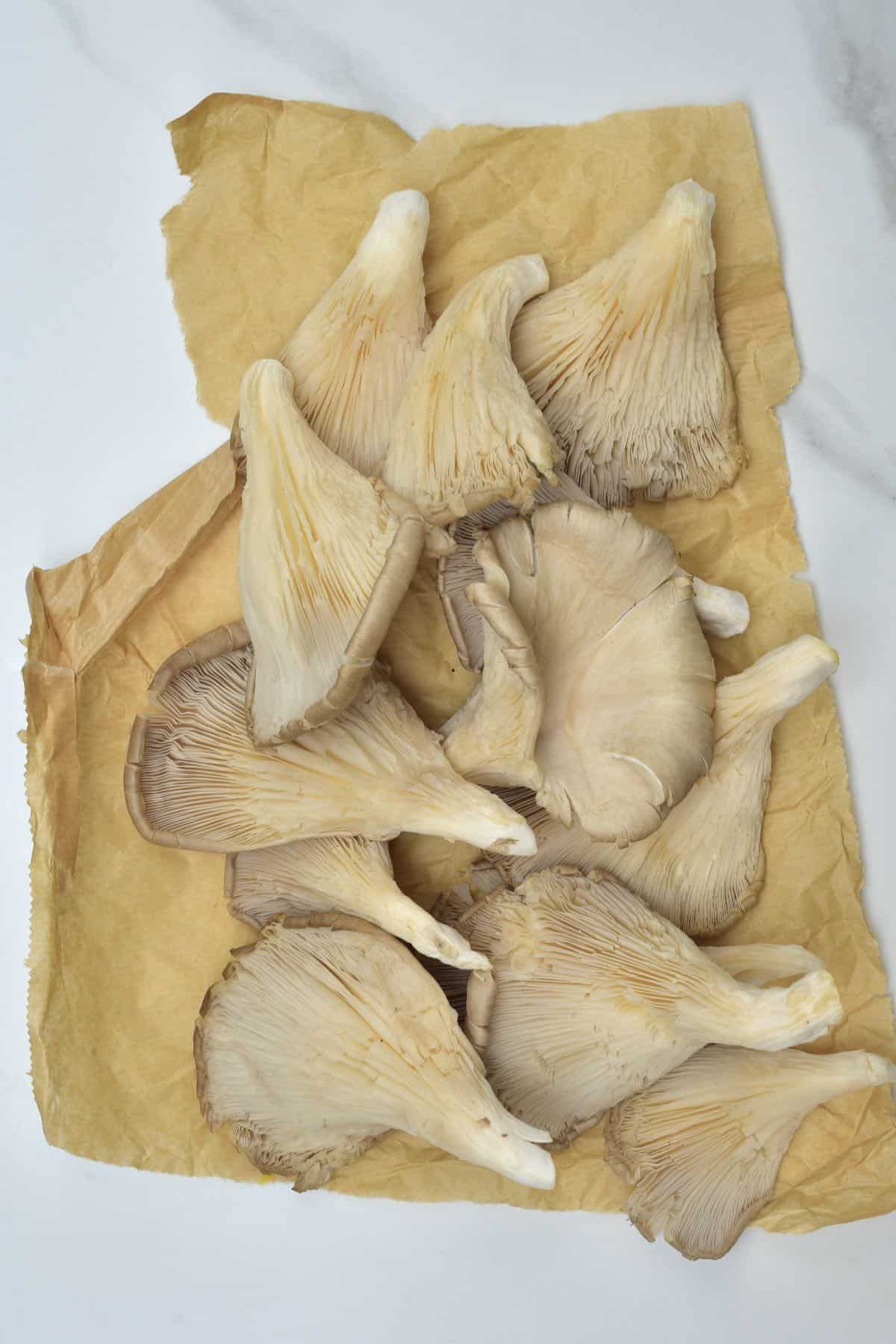 Oyster mushrooms on a flat surface