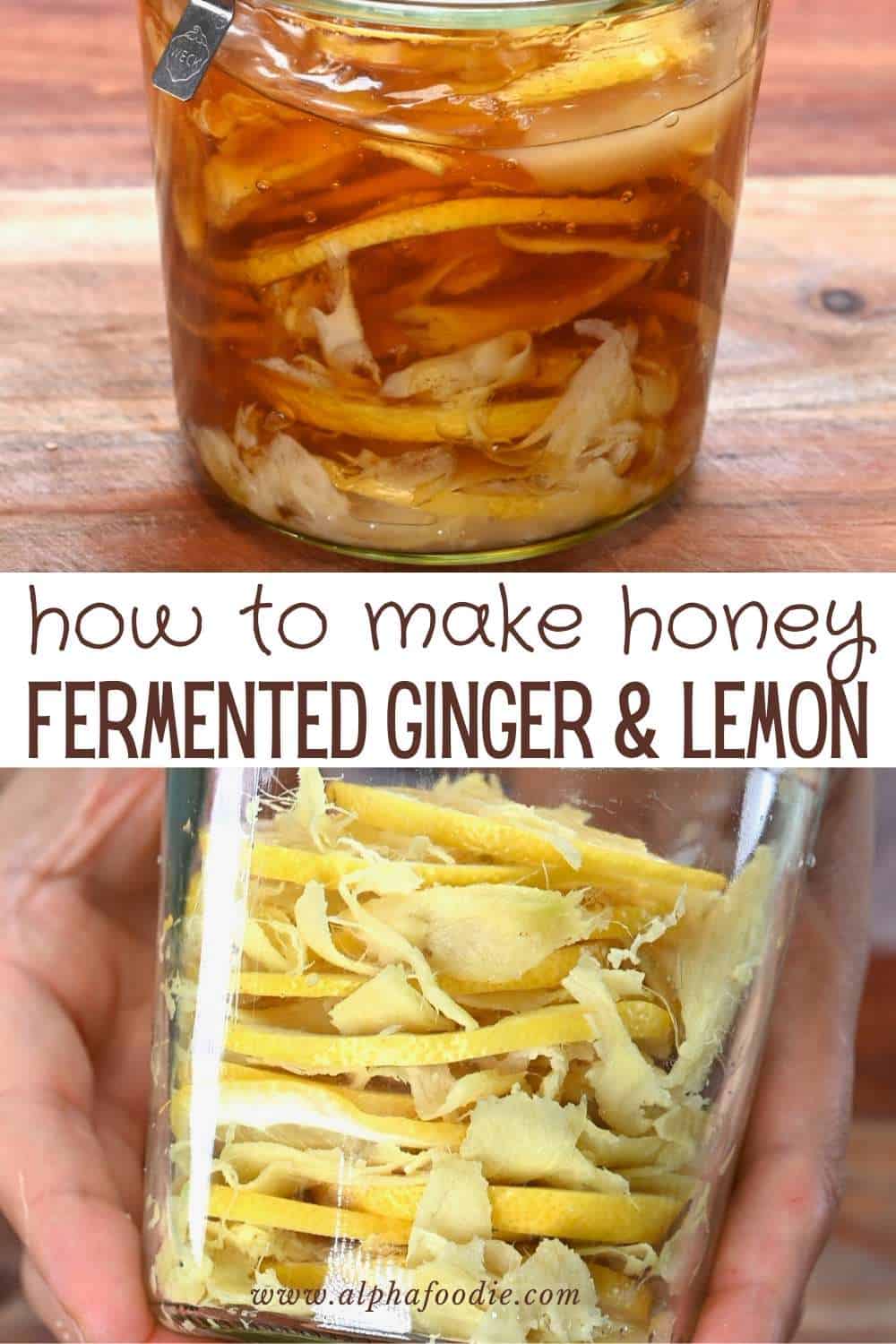Honey Fermented Ginger and Lemon Alphafoodie