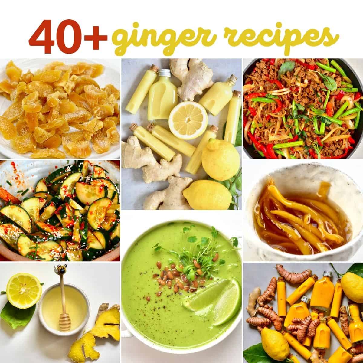 Ginger recipes compilation