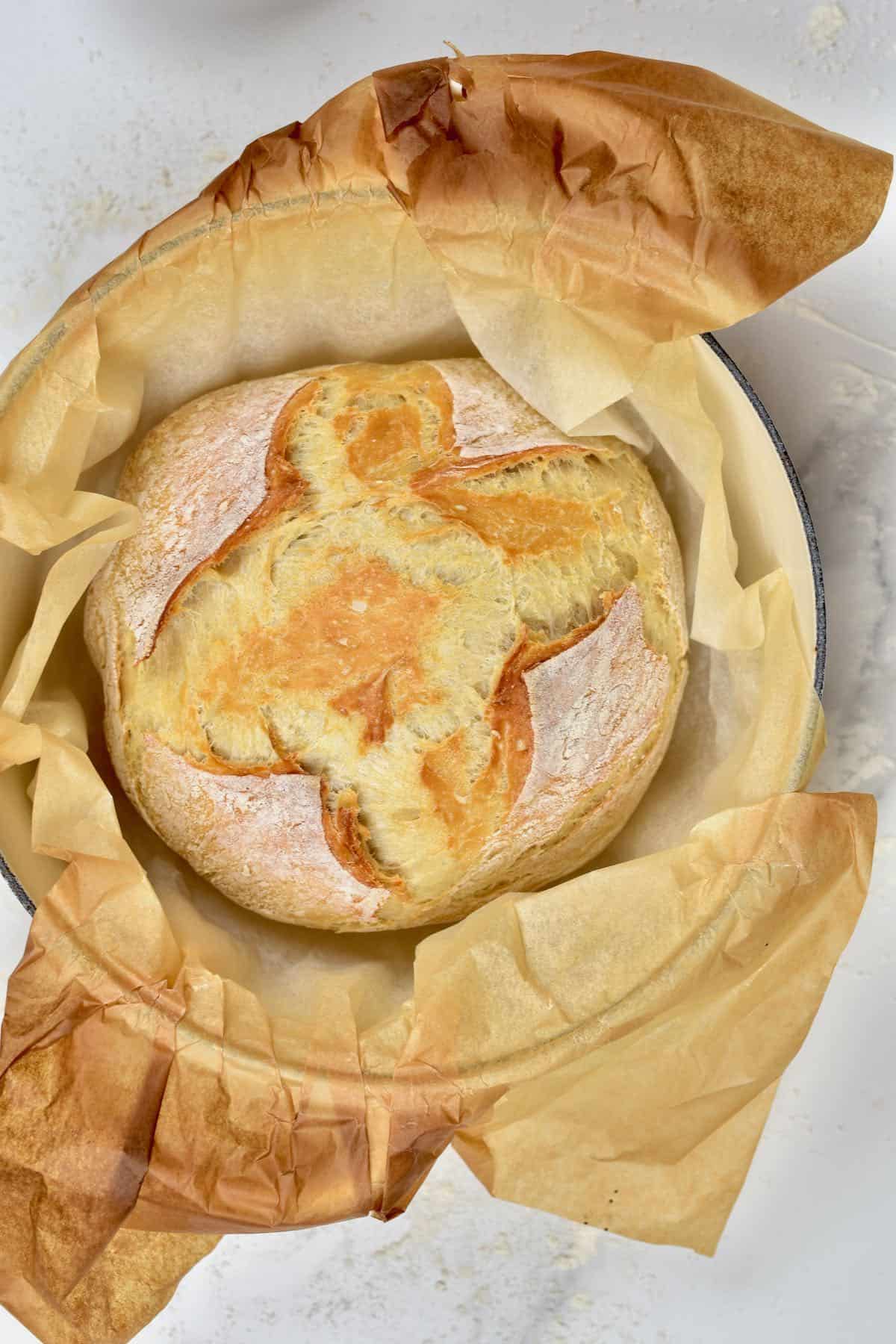 Freshly baked no knead bread