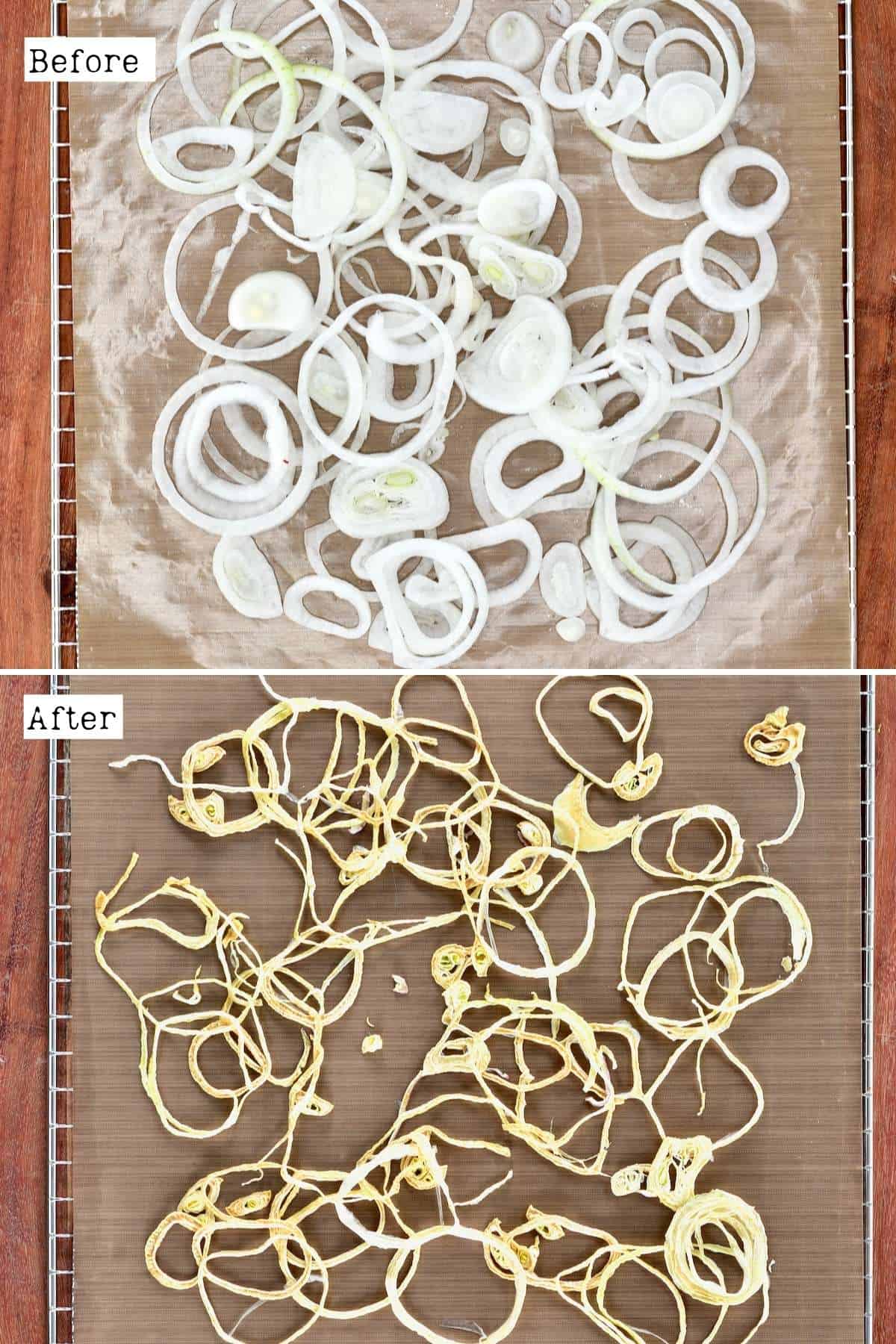 Before and after dehydrating white onion