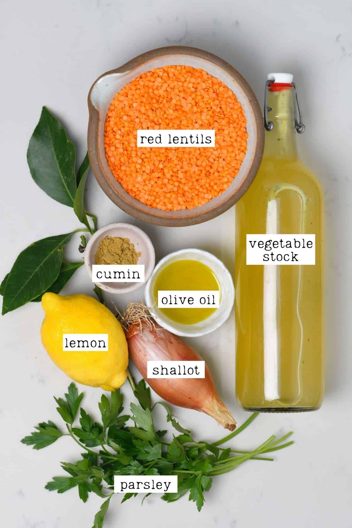 Ingredients for red lentil soup