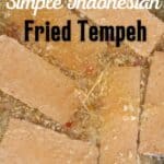 Indonesian fried tempeh