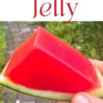 A slice of watermelon jello