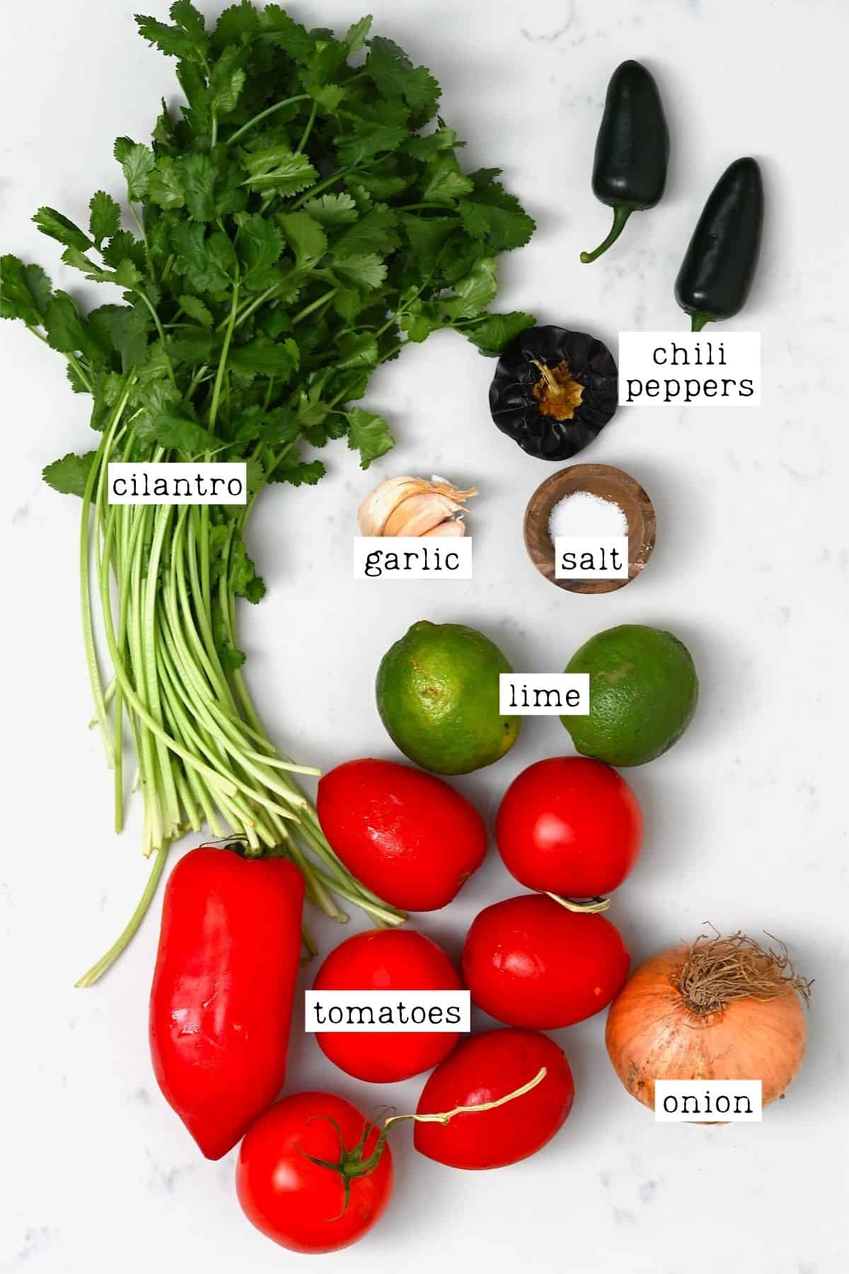 Ingredients for roasted tomato salsa