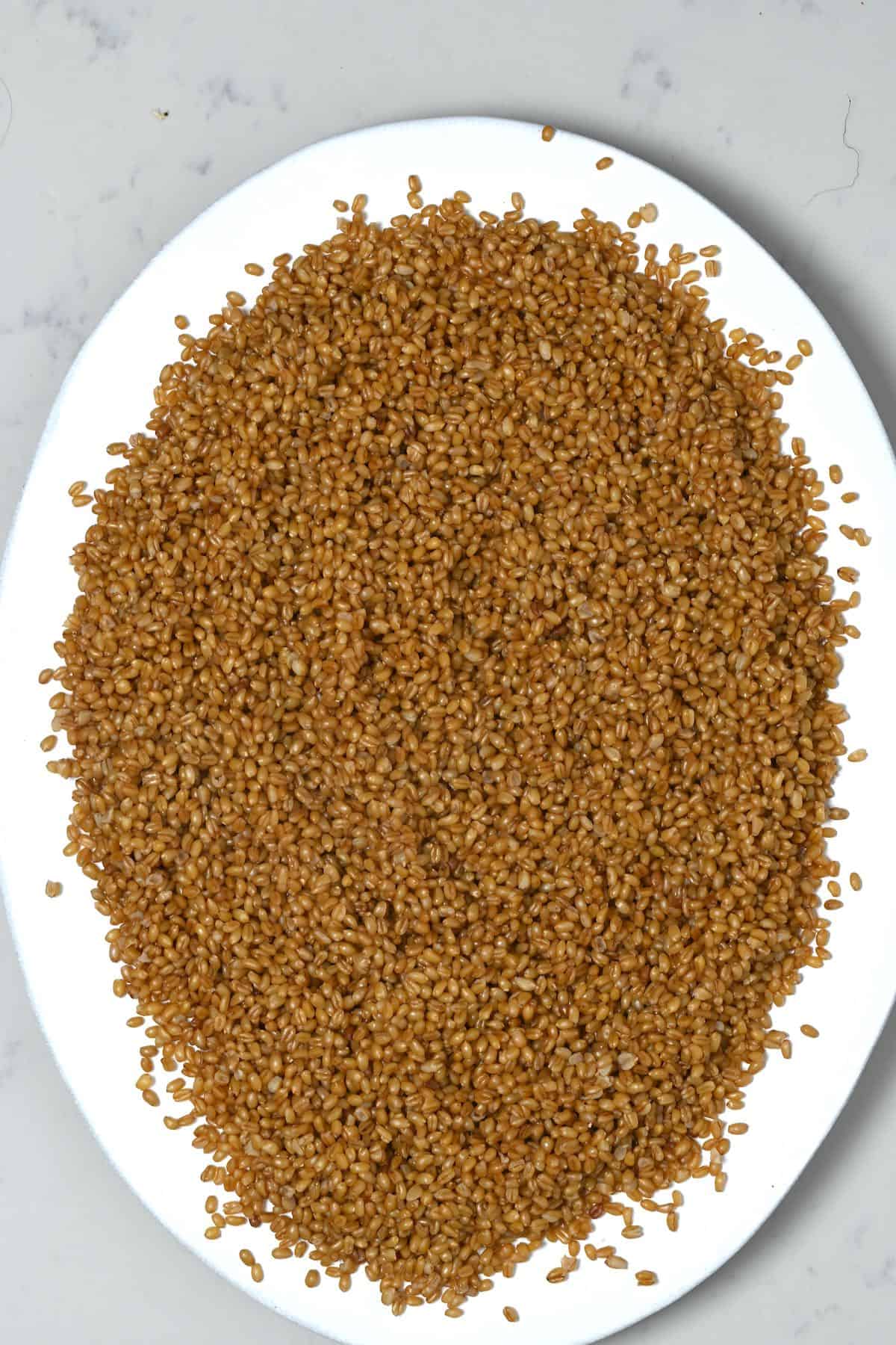 Drying bulgur wheat