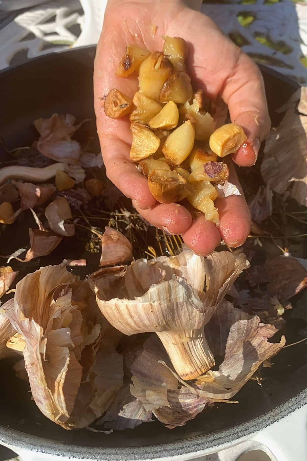 Roasted garlic in a hand