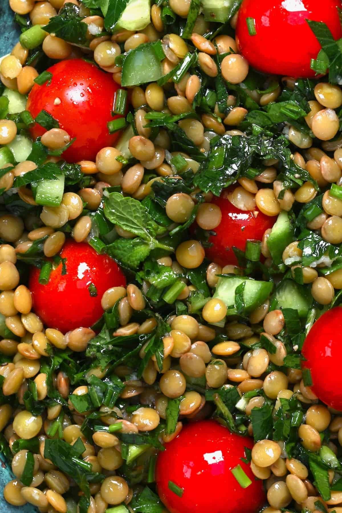 A close up of lentil salad with tomatoes