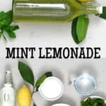 Mint lemonade and ingredients to make it