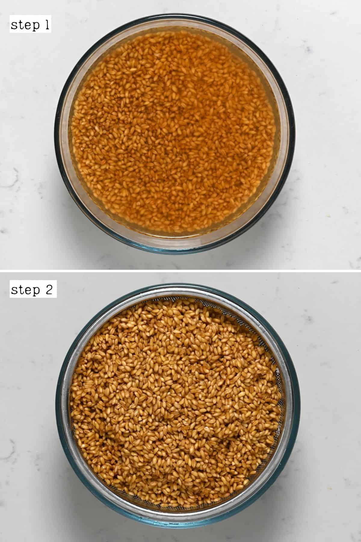 Steps for soaking wheat berries