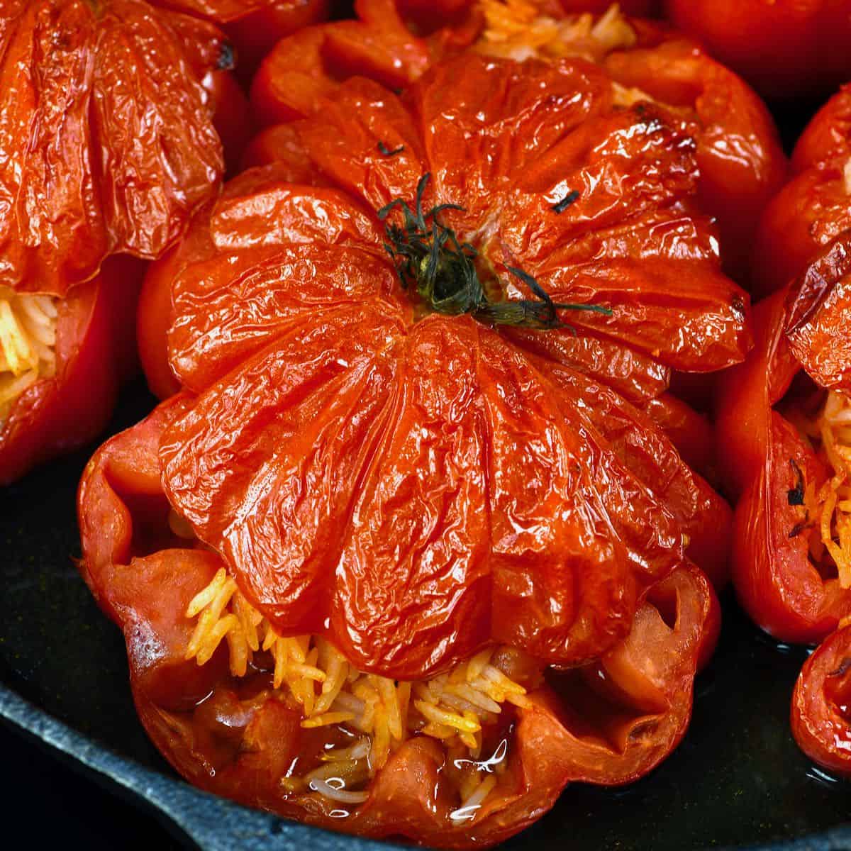 Vegetarian Greek Stuffed Tomatoes (GF + Vegan Optional)-image