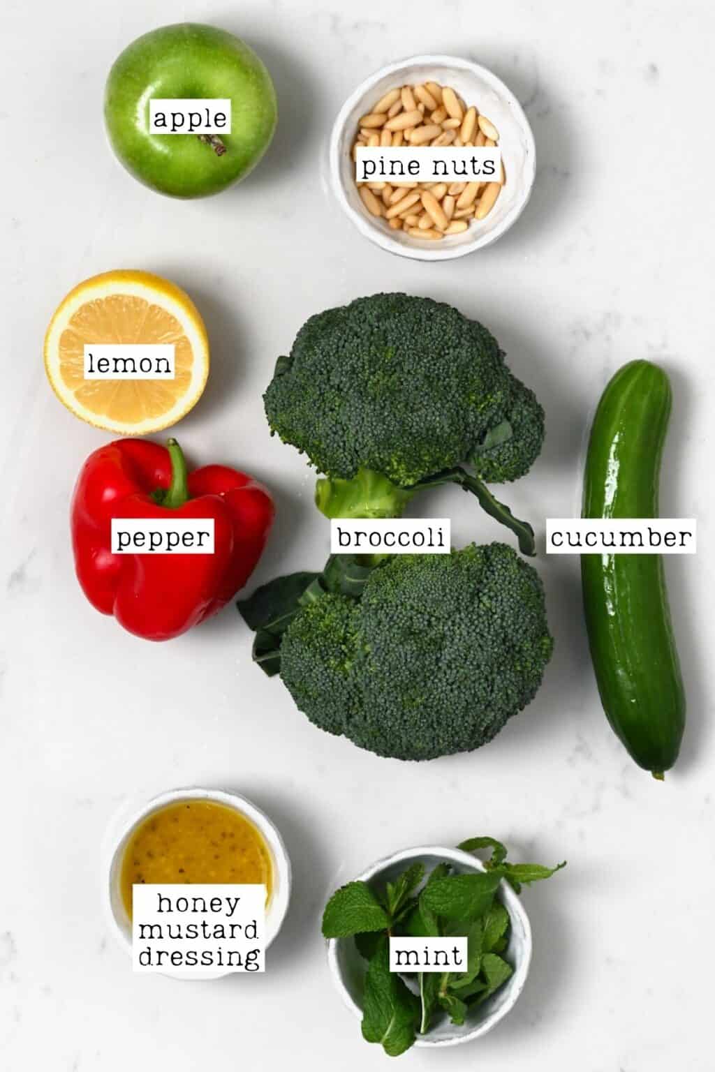 Easy Cold Broccoli Apple Salad - Alphafoodie