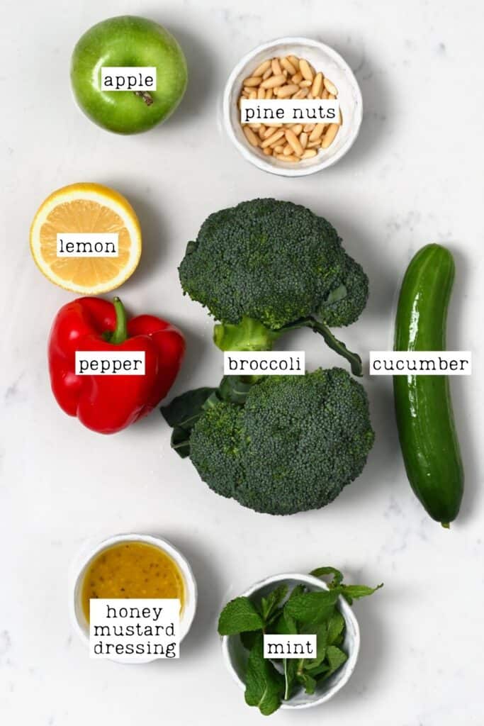 Easy Cold Broccoli Apple Salad (Vegetarian/Vegan | 5-Minute) - Alphafoodie