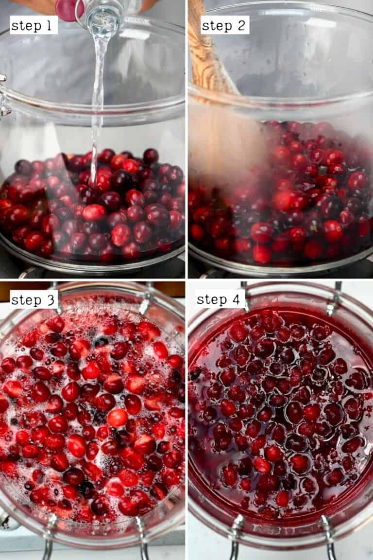 How to Make Cranberry Juice (Stovetop Sugar Free Optional) Alphafoodie