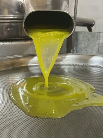 Sieving freshly made olive oil