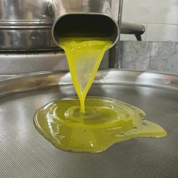 Sieving freshly made olive oil