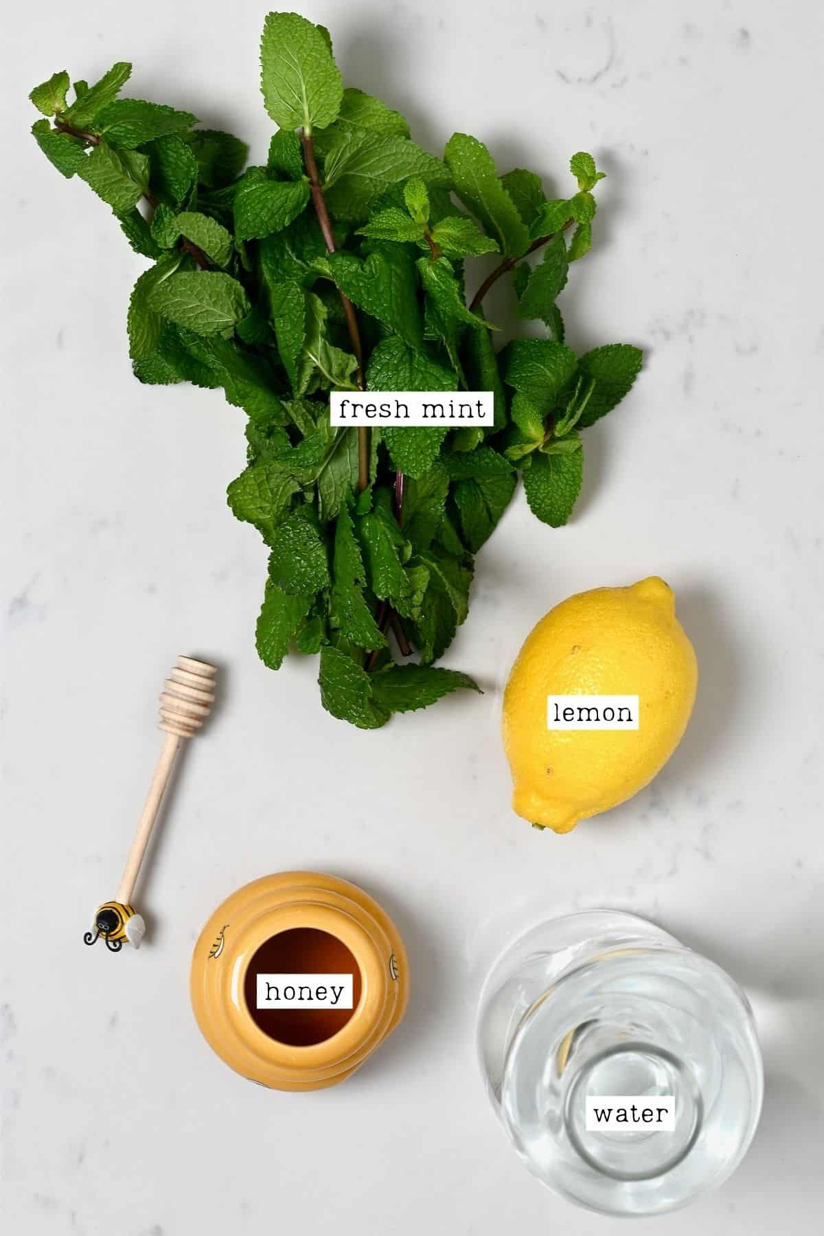 Ingredients for fresh mint tea