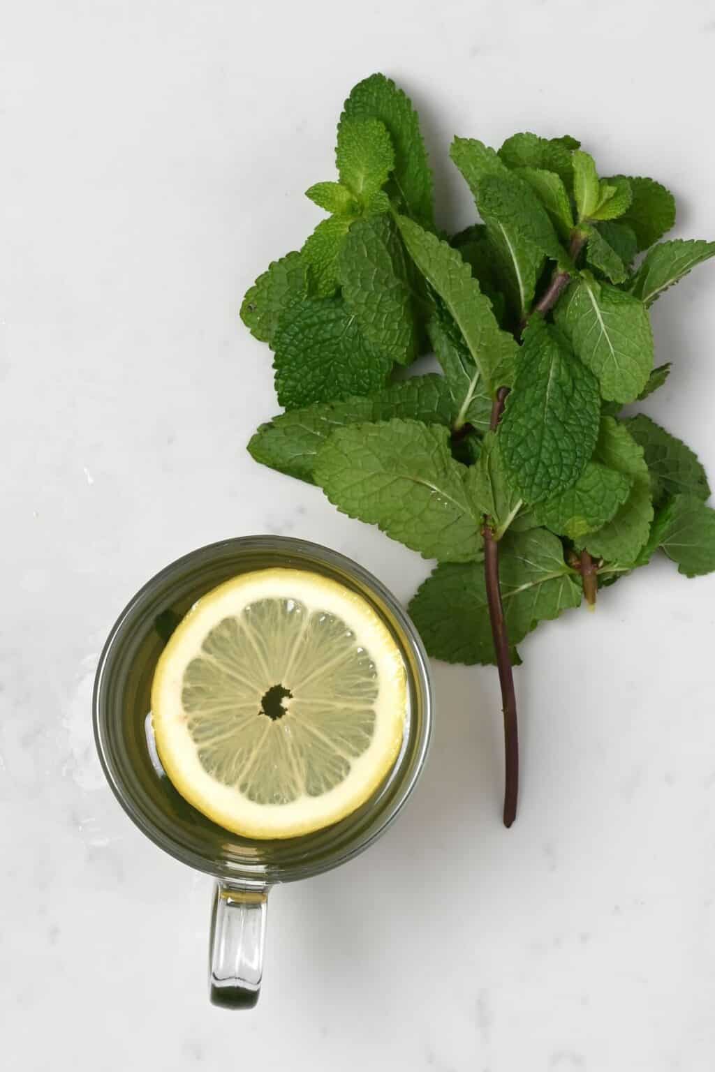 Fresh Mint Tea (Honey Citrus Mint Tea + Flavor Variations) - Alphafoodie