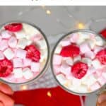 white hot chocolate top view with marshmallow