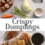 Homemade crispy rice paper dumplings