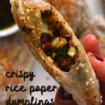 Homemade crispy rice paper dumplings