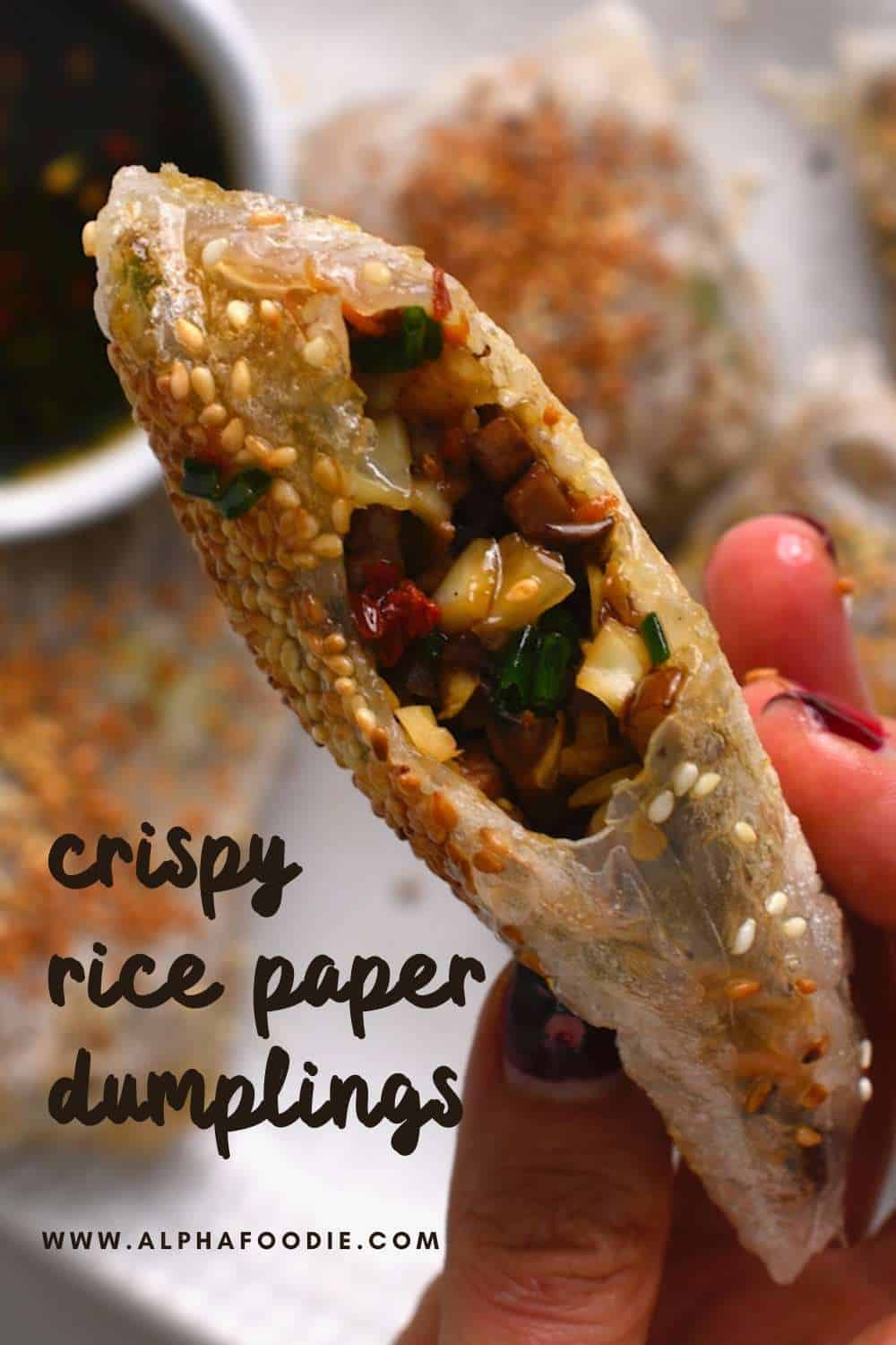 Crispy Rice Paper Dumplings (Glutenfree Vegan) Alphafoodie