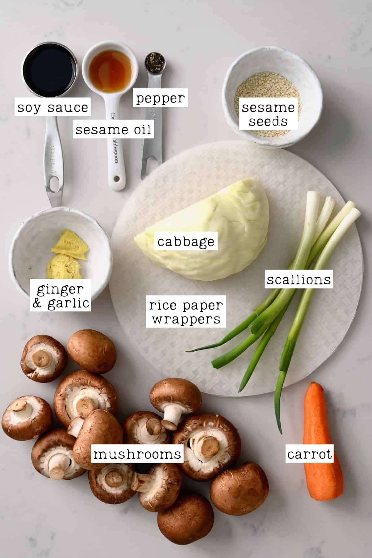 Ingredients for crispy rice paper dumplings