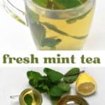Fresh mint tea