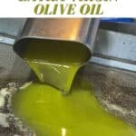How is oilive oil made