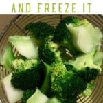 How to Blanch Broccoli (And Freeze It)