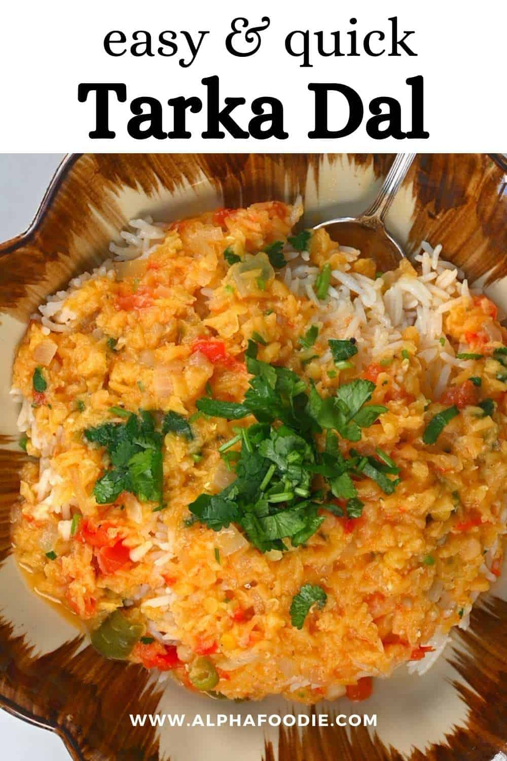 Easy Red Lentil Dal (Tarka Dal | Indian Lentil Dish) - Alphafoodie