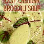 Vegetarian Broccoli Cheddar Soup