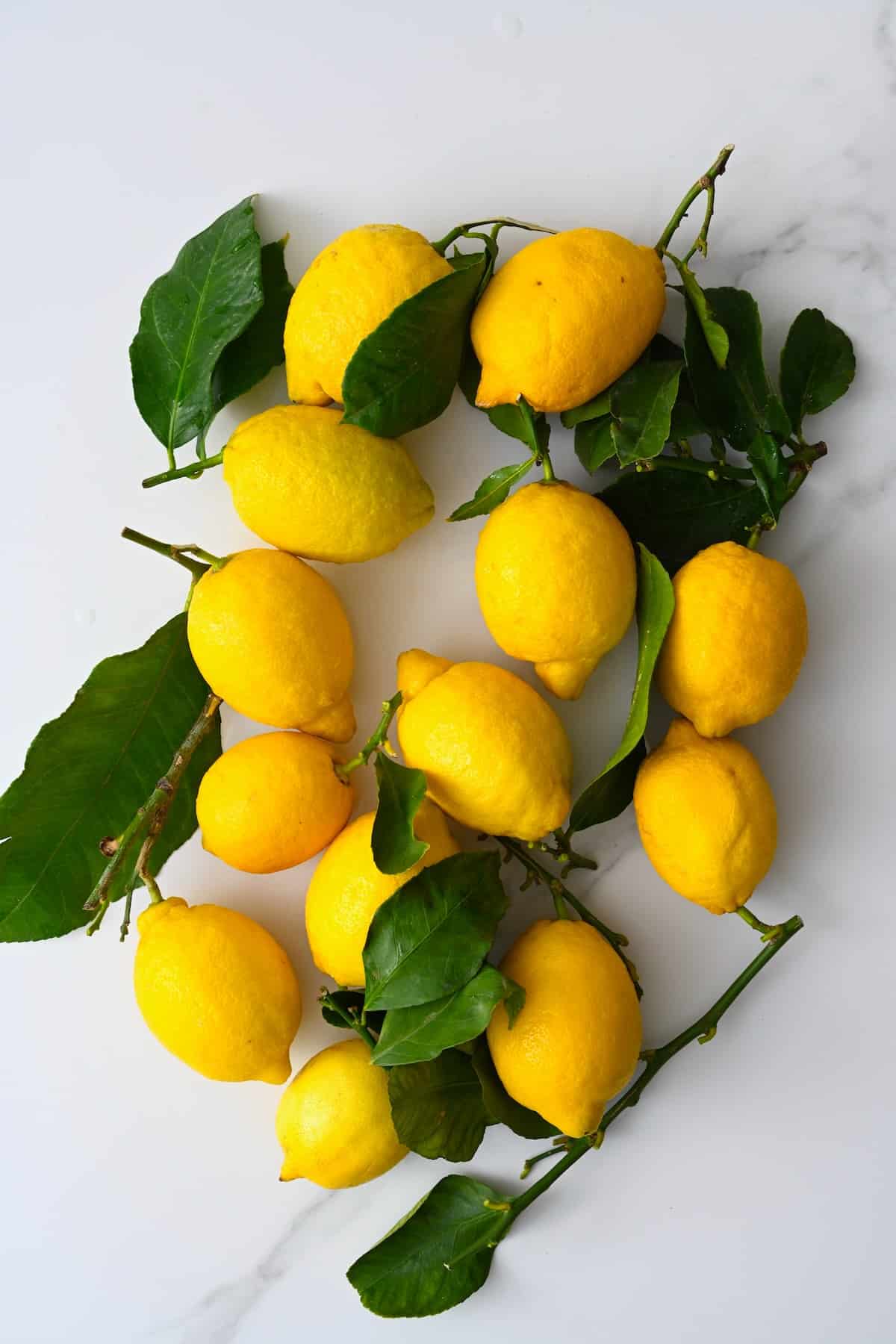 Thrirtheen lemons with leaves on a flat surface