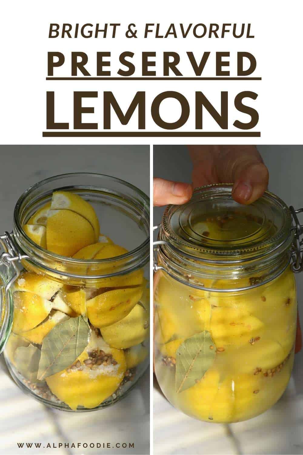 How to Make Preserved Lemons (Pickled Lemons) Alphafoodie