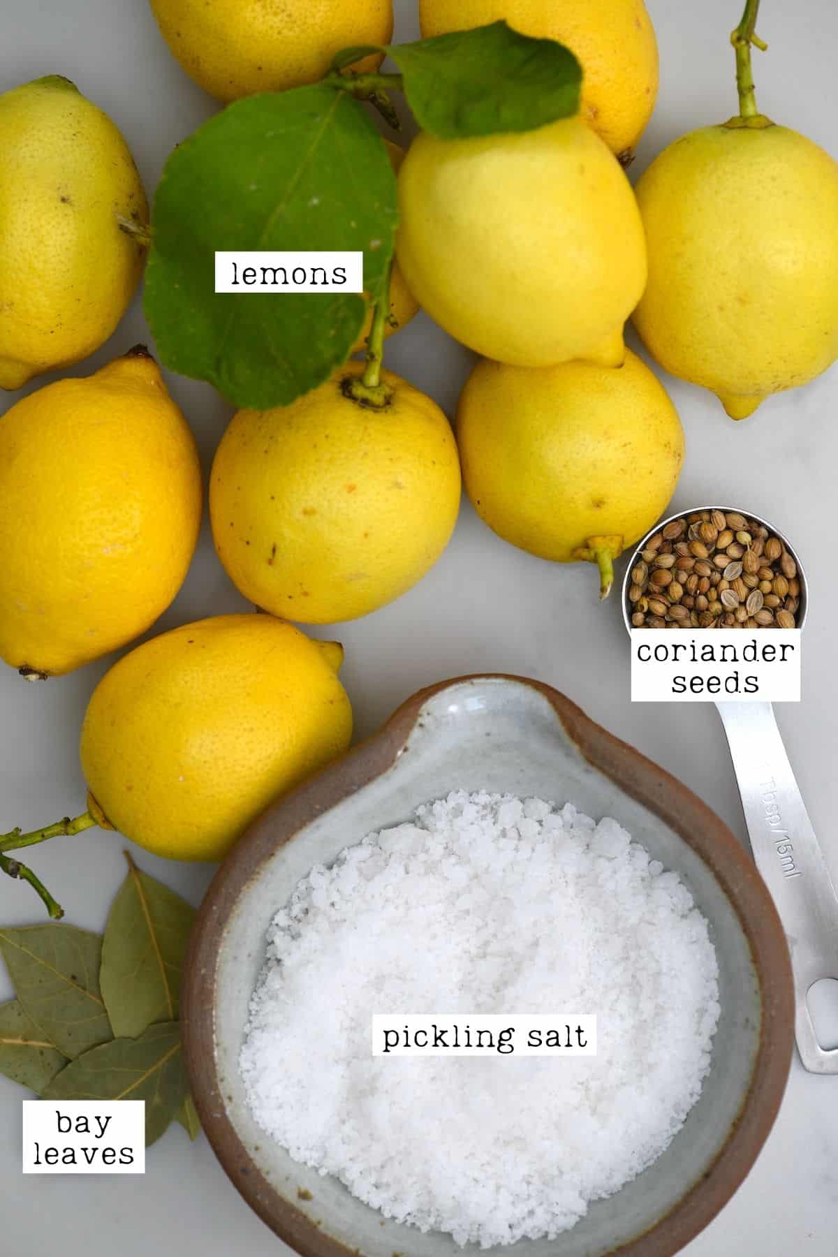 Ingredients for preserved lemons