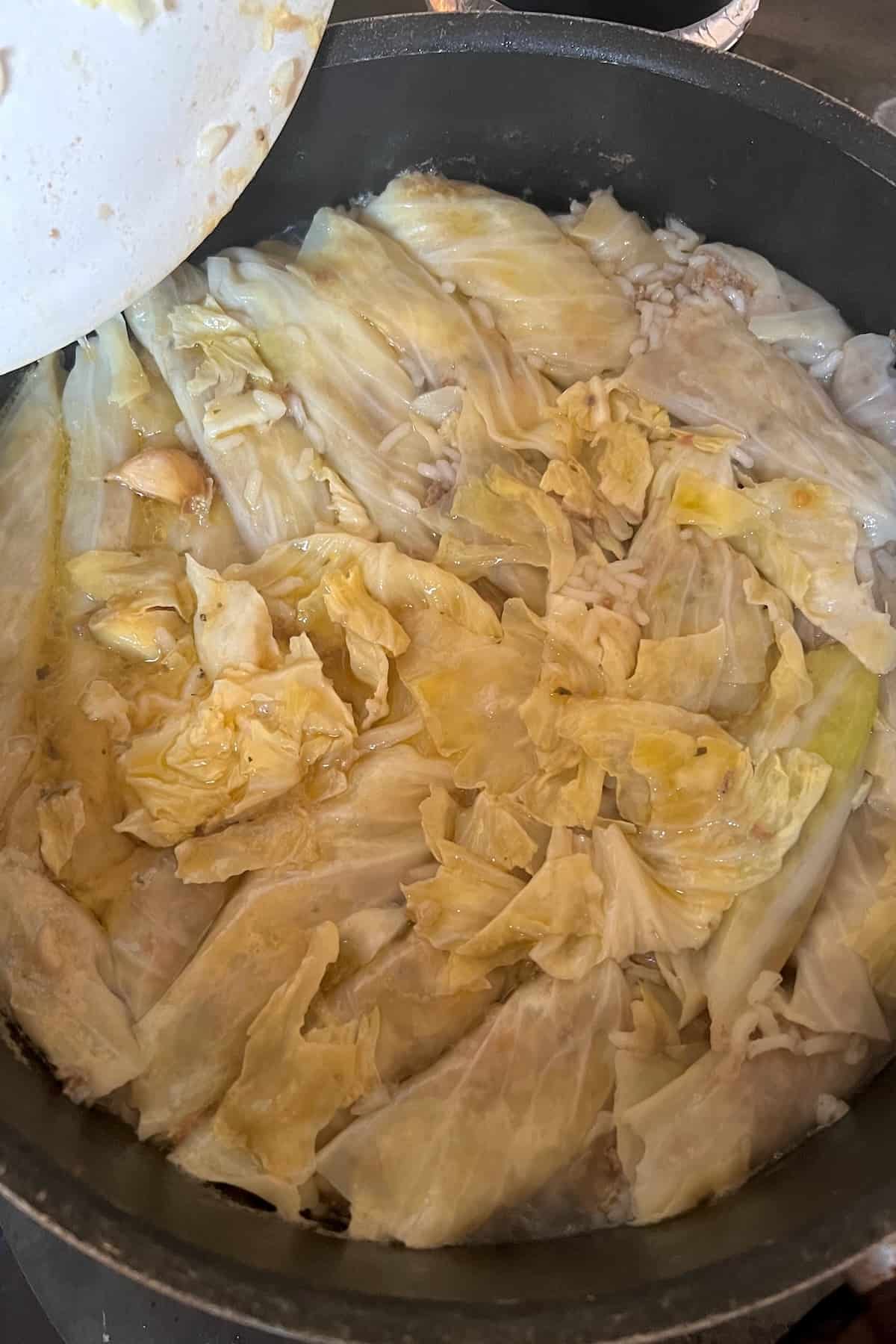Cooked stuffed cabbage rolls in a pot